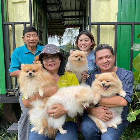 Doi Sang Farm Stay - ดอยซางฟาร์มสเตย์ Wiang Sa Exterior photo